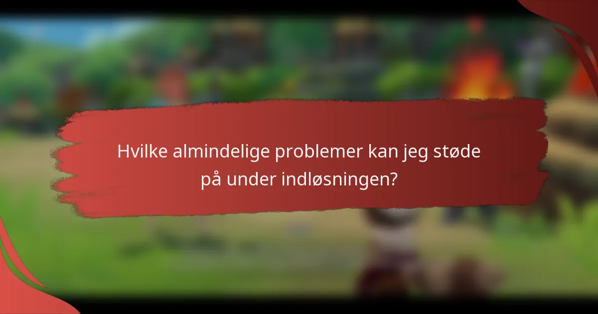 Hvilke almindelige problemer kan jeg støde på under indløsningen?